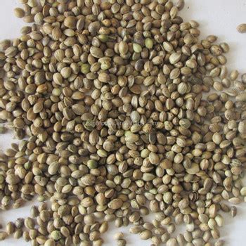 seed oil traduction|Traduction seed.